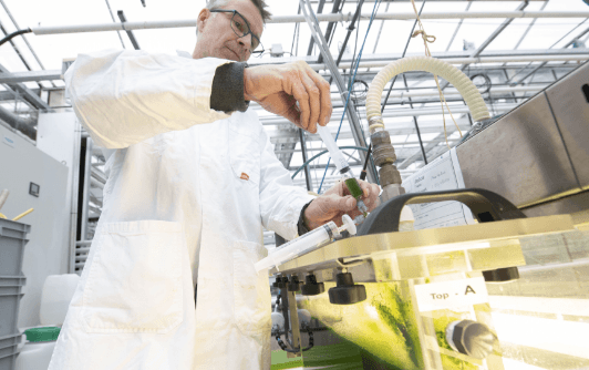 Man in lab coat working on algae